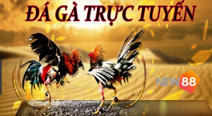 Hình minh họa hướng dẫn Mb86